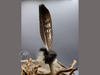 Räucherfeder Adler